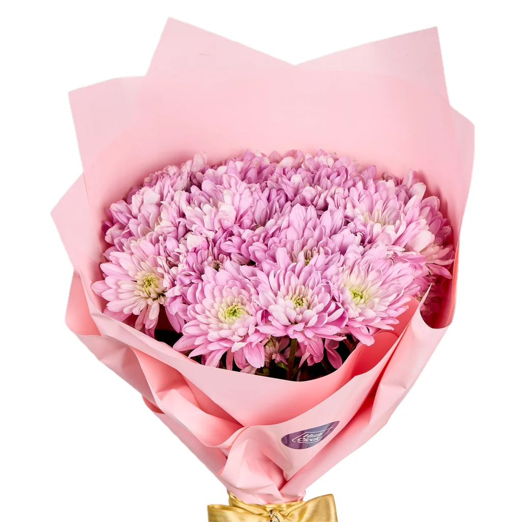 Pembe Krizantem Buketi - 3