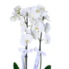 Amethyst White Orkide - 2