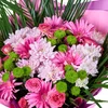 Pink Muse - 3