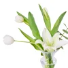 Ivory Minimal - 3