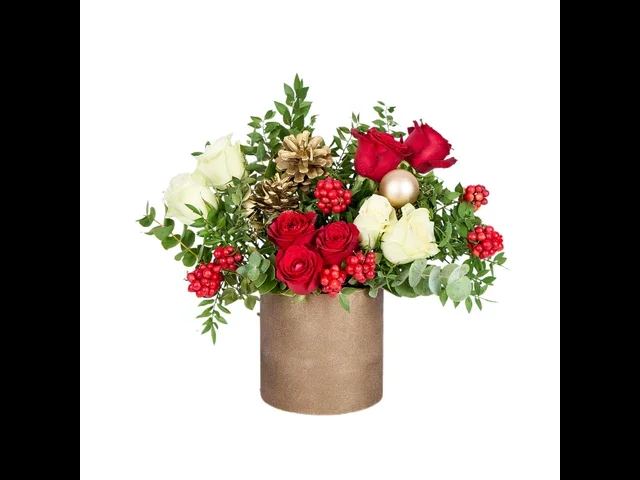 Golden Festive Rose