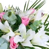 Lily & Rose Harmony - 3