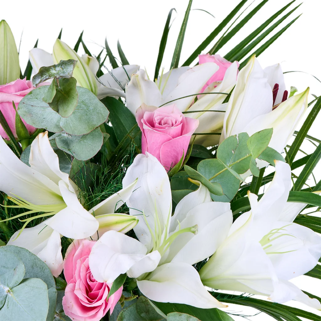 Lily & Rose Harmony - 4