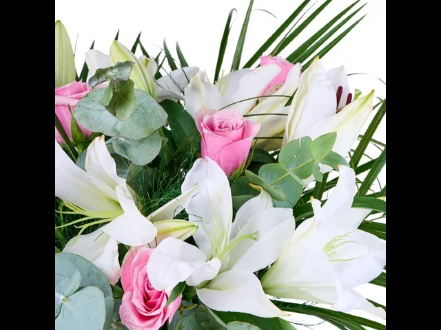 Lily & Rose Harmony - 3