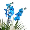 Azure Royal - 2