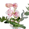 Orchid Elegance - 2