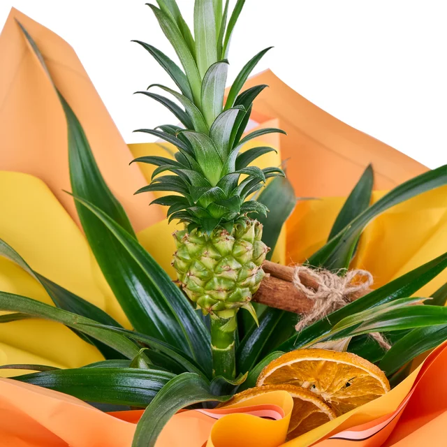 Tropikal Ananas - 2