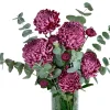 Vazoda Bordo Kasımpatı - 2