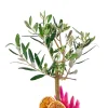 Zeytin Garden - 2
