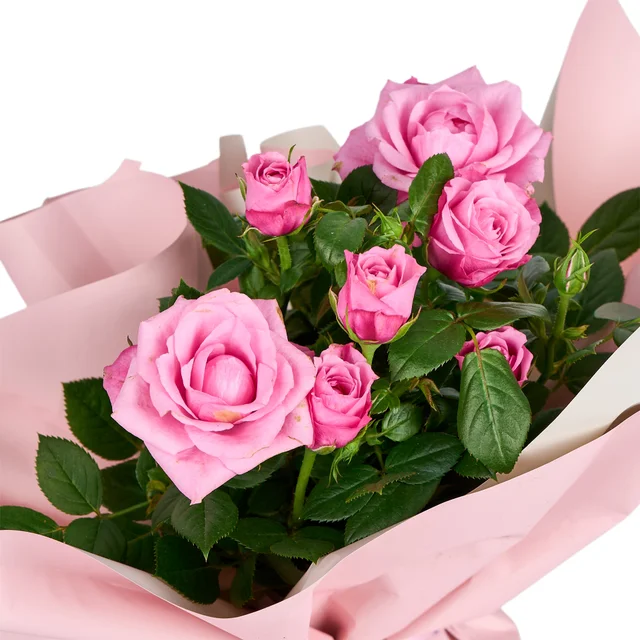 Pembe Gül Fidanı - 3