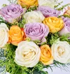 Color Bloom - 3