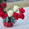 Snowy Red - 2
