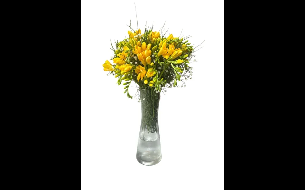 Vazoda Sarı Frezya