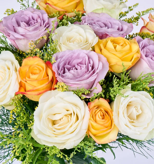Color Bloom - 3