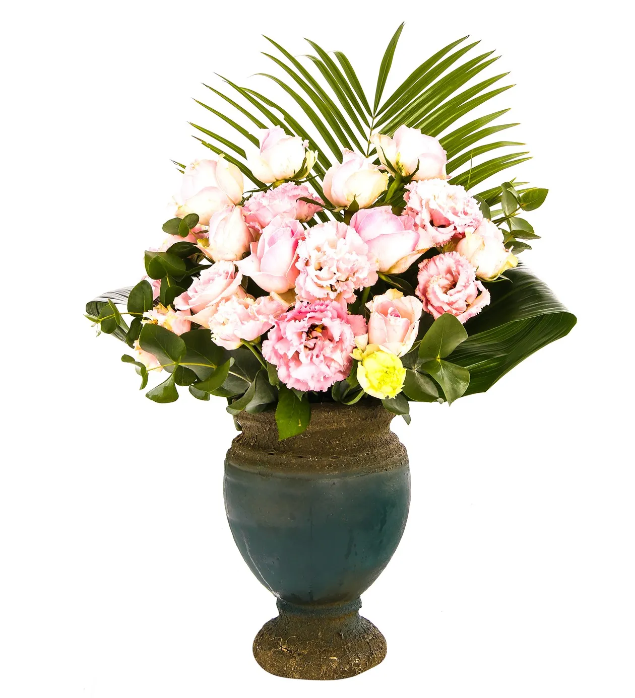 My Angelwing Lisyantus - 6