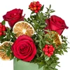 Red Winter Charm - 3