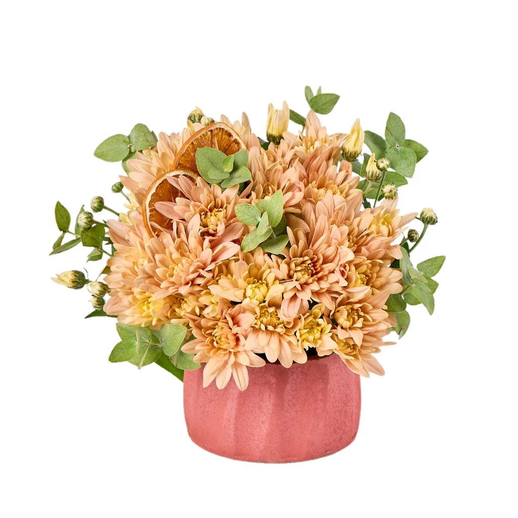 Peachy Charm