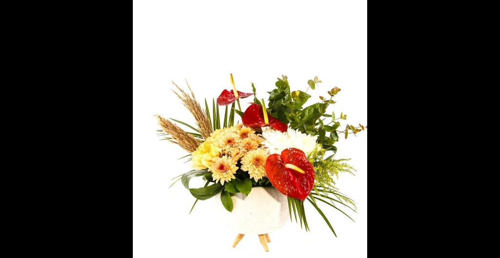 Lux Serenity Harmony