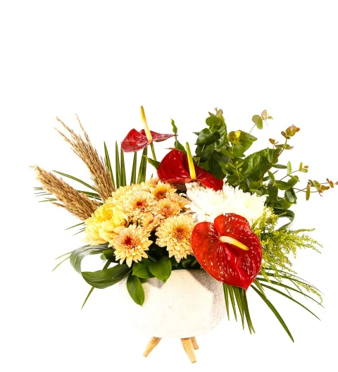 Lux Serenity Harmony