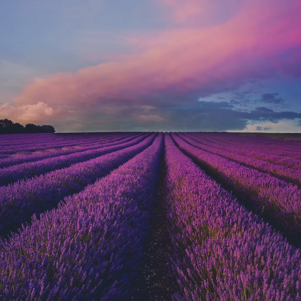 Duygusal Sözler: Kendinizi İfade Edin