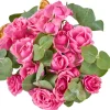 Rosy Cloud - 3