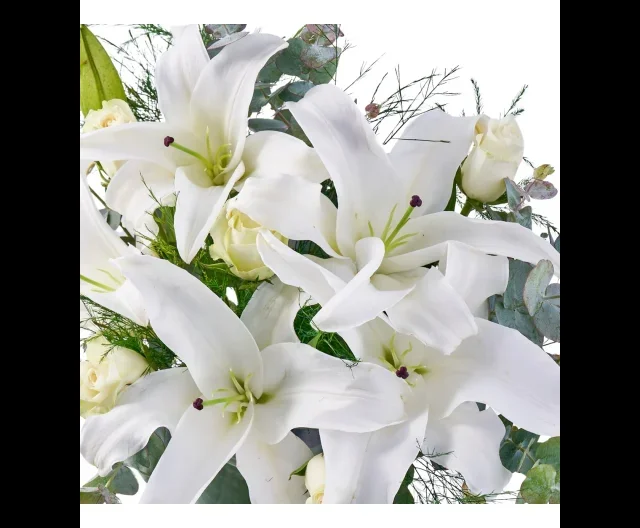 Lilyum Serenity - 3