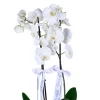 Golden White Orkide - 2