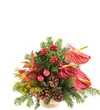 Magical Christmas Harmony - 2