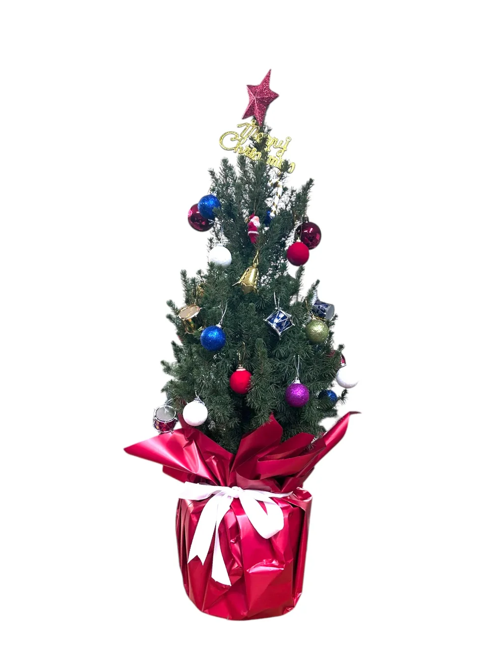 Yılbaşı Ağacı (65-70 cm)