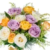 Color Bloom - 2