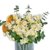 Narcissus Dream - 2