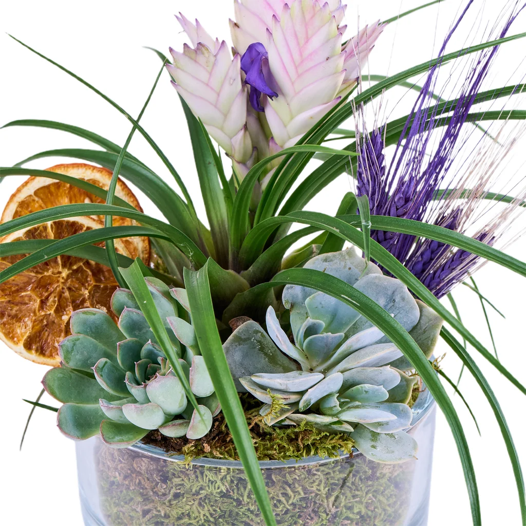 Natural Air Garden - 4