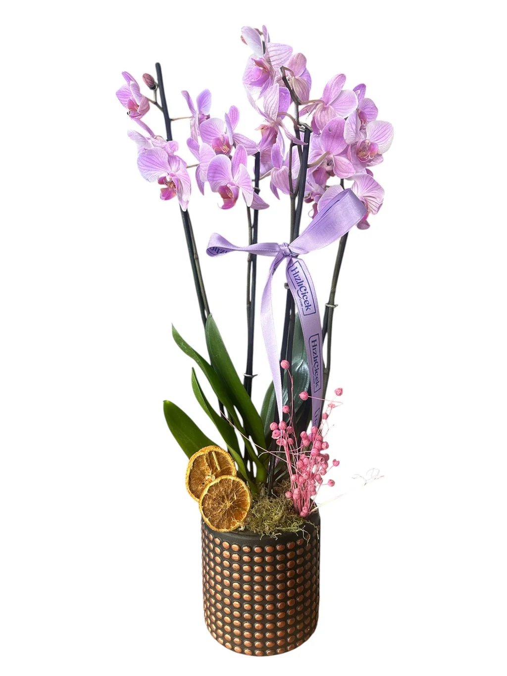 Saksıda 4 Dallı Lila Orkide 