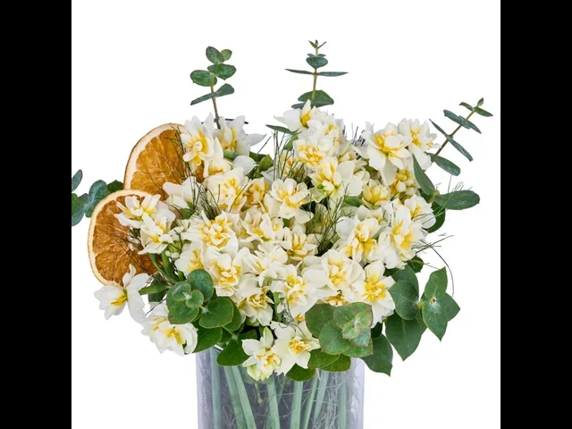 Narcissus Dream - 2