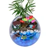 Turtle Island Teraryum - 2