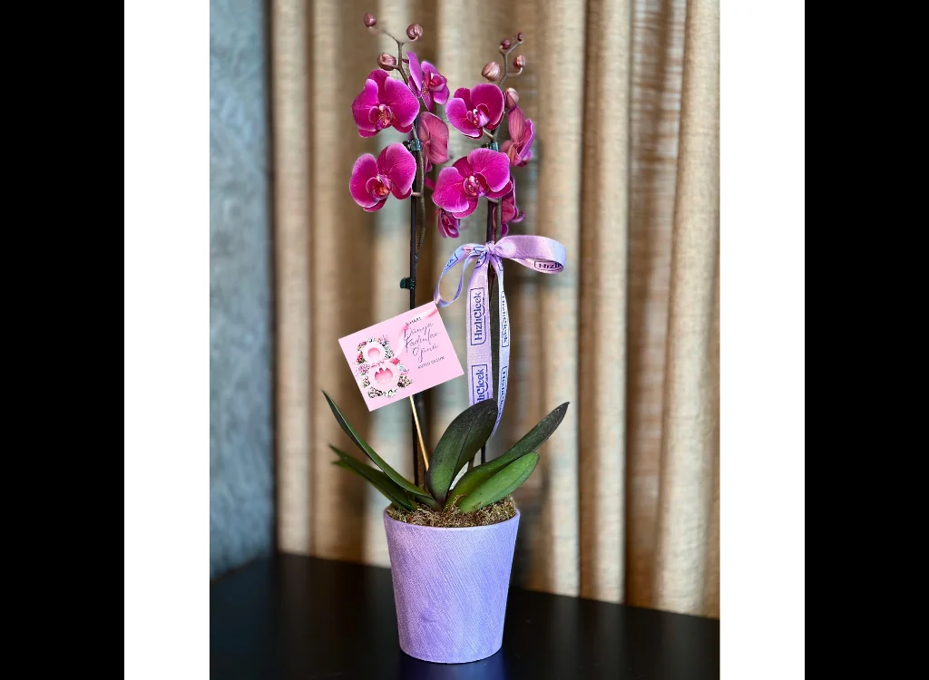 Kadınlar Günü Çift Dallı Mor Orkide 