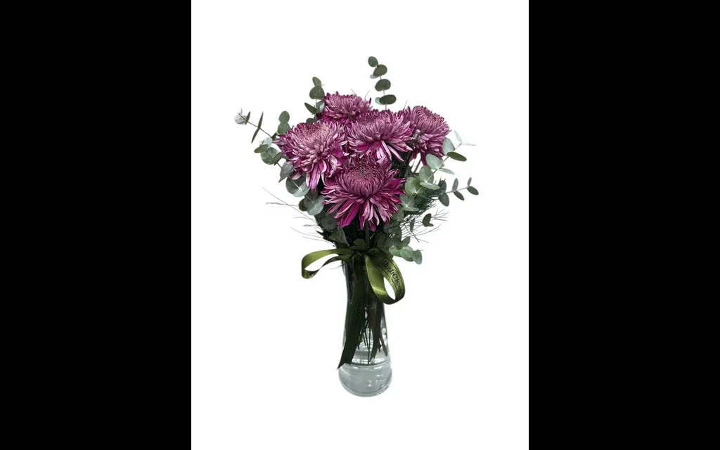 Vazoda Bordo Kasımpatı