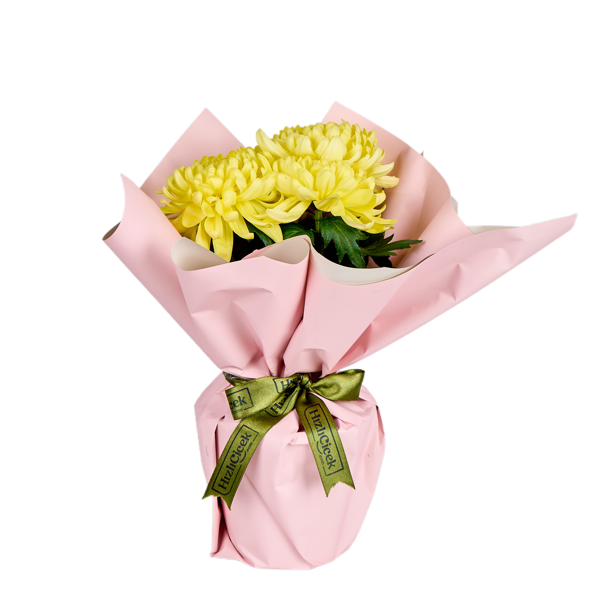 Saksıda Sarı Kasımpatı - 8