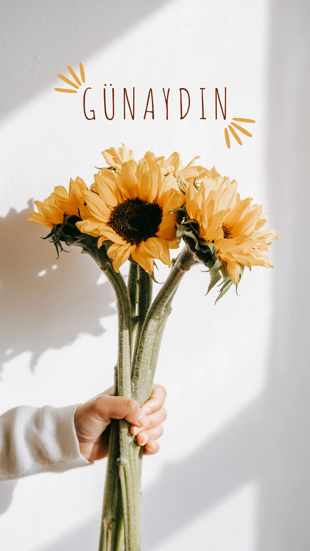 Sevgiliye Günaydın Mesajı: En Romantik Öneriler 