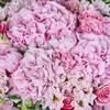 Pink Blossom Bouquet - 2