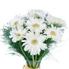 Vazoda Beyaz Gerbera - 2