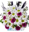 Papatya Melody - 3