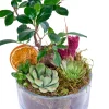 Tiny Green Garden - 2