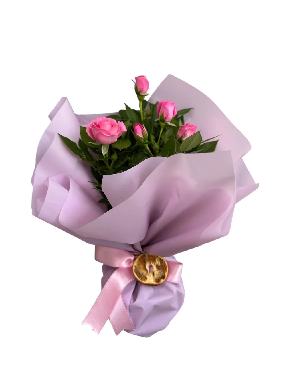Pembe Gül Fidanı