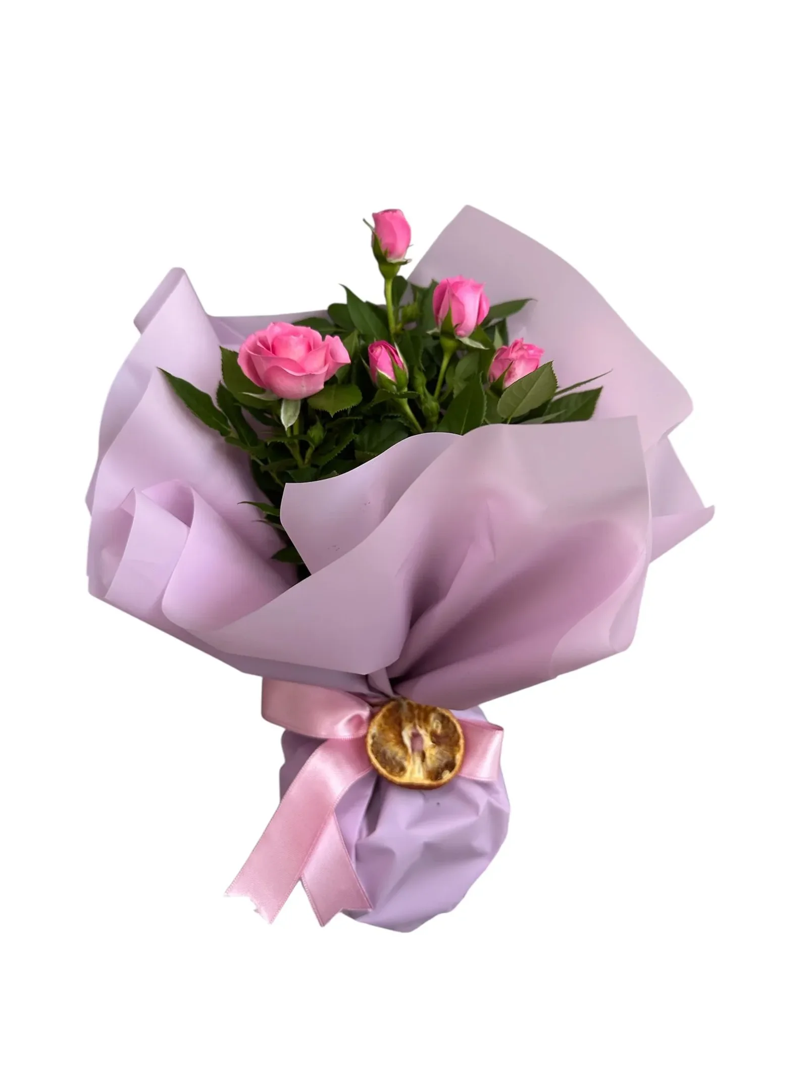 Pembe Gül Fidanı