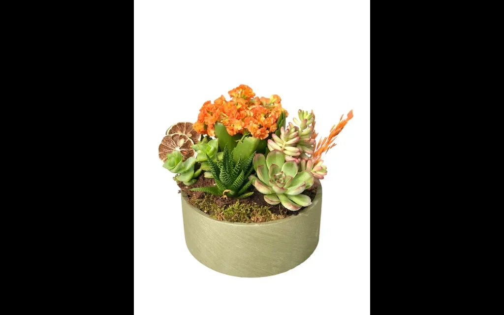 Orange Botanical