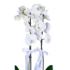 Diamond White Orkide - 2