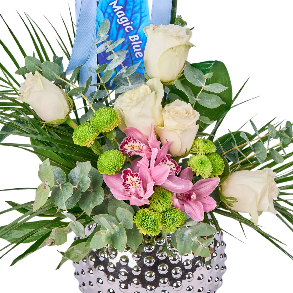 Blue Royale Orkide - 3