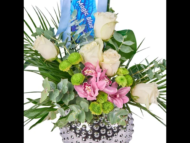 Blue Royale Orkide - 2