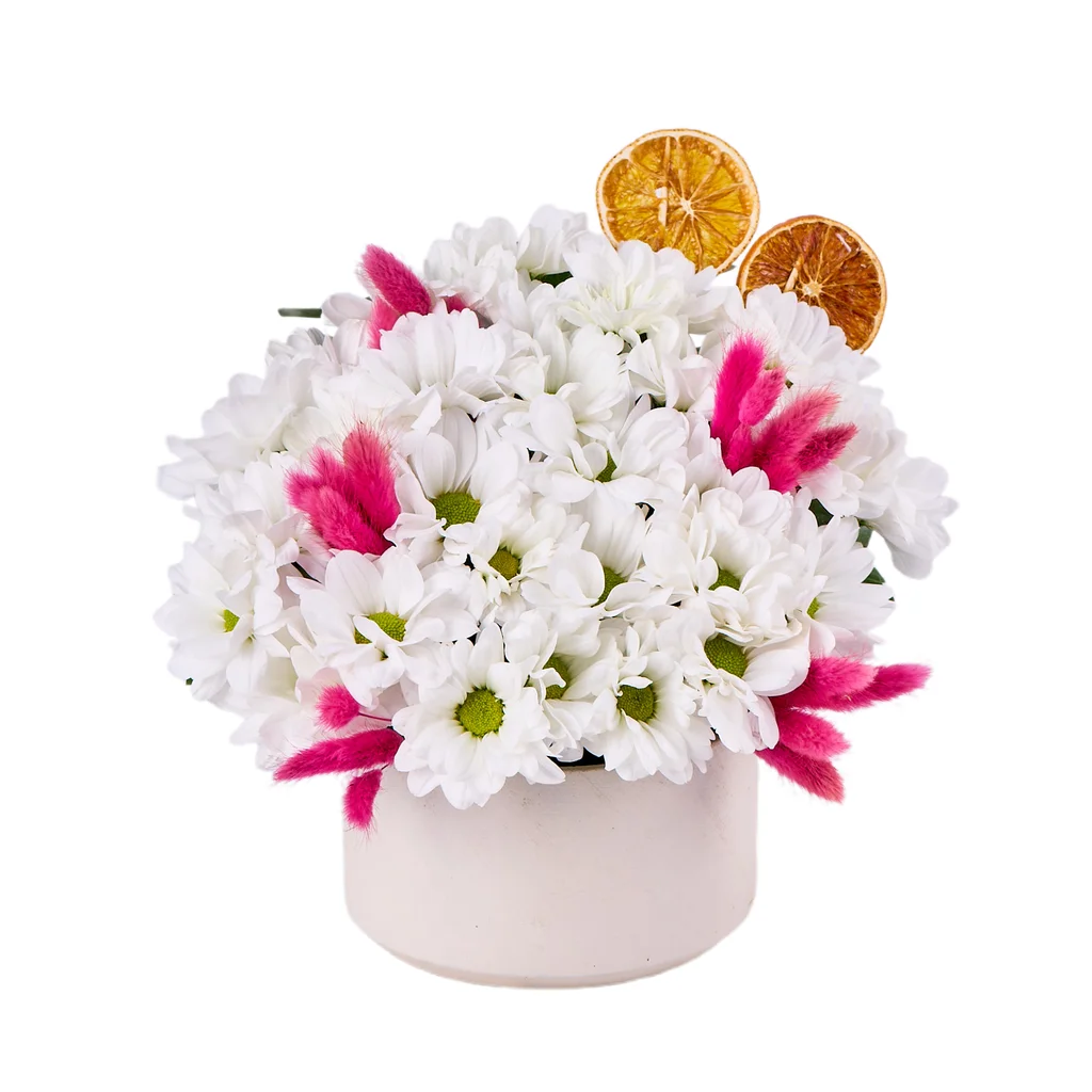 Daisy Garden